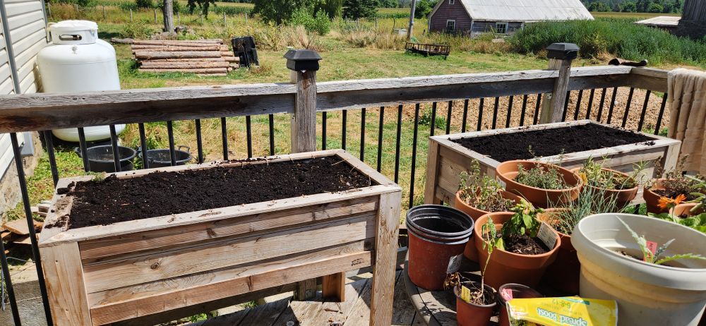 Greens planters in their new spot on the back deck, ready to be replanted with salad greens  

My friends built these out of reclaimed wood 
