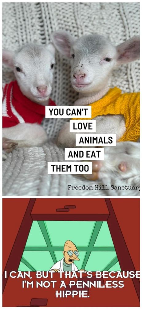 Top photo is two lambs in sweat3rw text reads "you can't love animals and eat them too"

Bottom pannal is perfect Farnsworth (Futurama) text reads "I can but that's because I'm not a penniless hippie"

Joke refers to the problem with poplar episode 