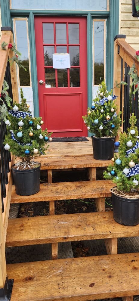 The potted live trees I've been working on 