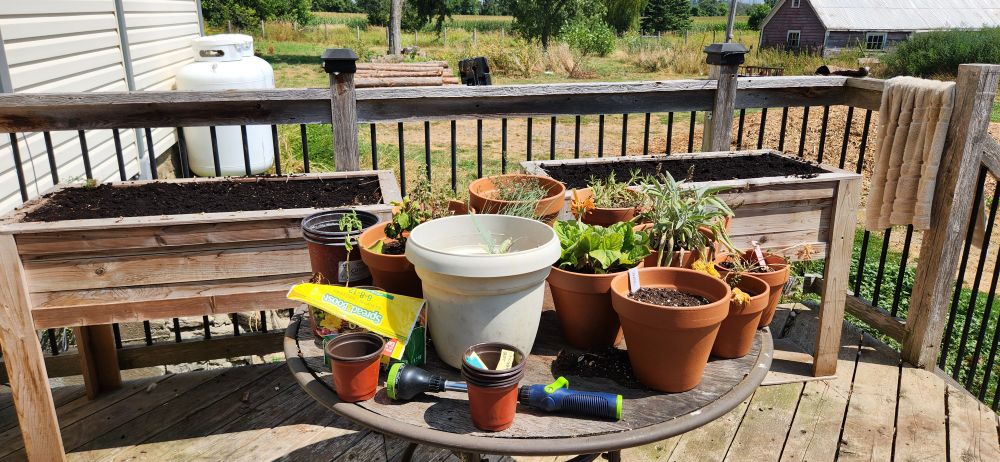 Herbs in the way 

They're going onto a rack I can keep outside over summer and indoors over winter 

Hoping to have the same friends build it for me 