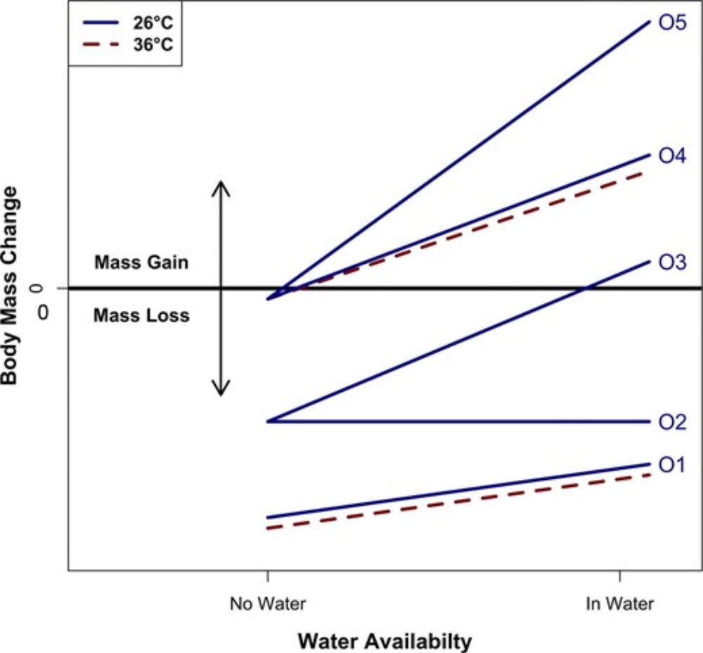 Water Availability and Temperature as Modifiers of Evaporative Water Loss in Tropical Frogs