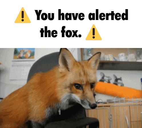 a picture of a fox with the words you have alerted the fox above it