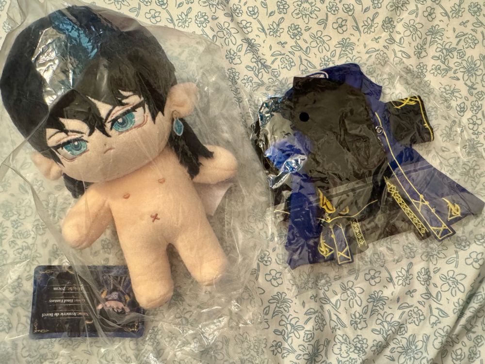 Ayme if plushie with clothes, all packed up.