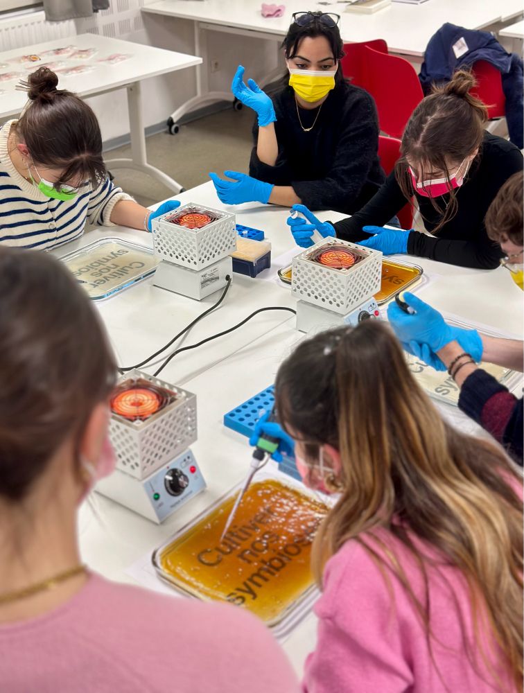 Atelier de myco-impression avec Alec Vivier-Reynaud à la Faculté de Design de l’université de Nîmes