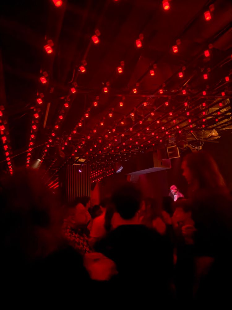 blurry people at a club with a ceiling full of red lights ordered in a neat grid system. the dj is visible to the right of the image and the only person lit up lighting-wise.