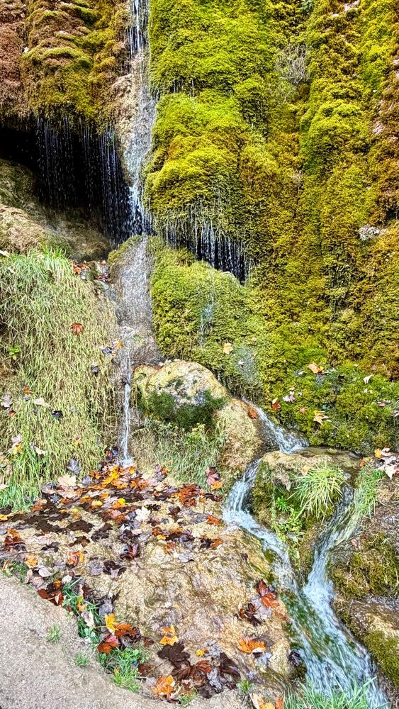 Kleiner Wasserfall, der über einen stark mit Moos bewachsenen Felsen verläuft. Auf dem Boden darunter liegen viele bunte herbstliche Blätter. 