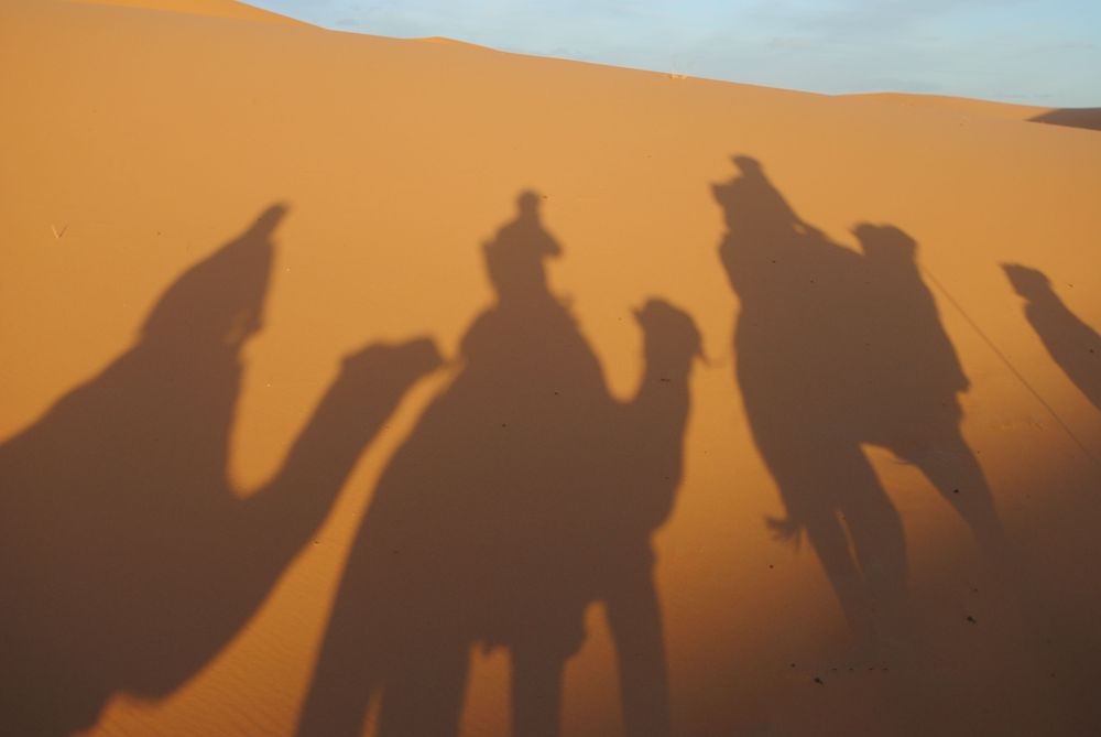 Three shadows of three people riding camels against a background of sand