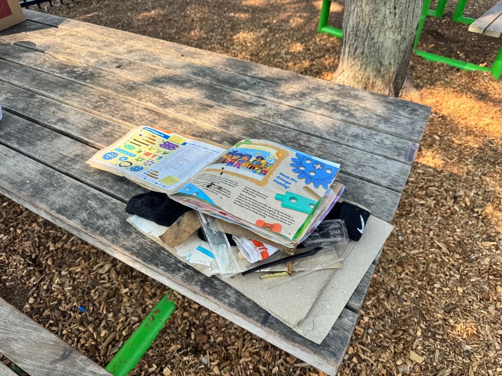 Trash collected in Lincoln park