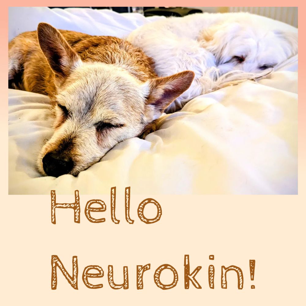 A photo of my dogs, Woody - a brown Jack Russell cross - and Molly - a cute little white fluffball. The words Hello Neurokin! are overlaid.