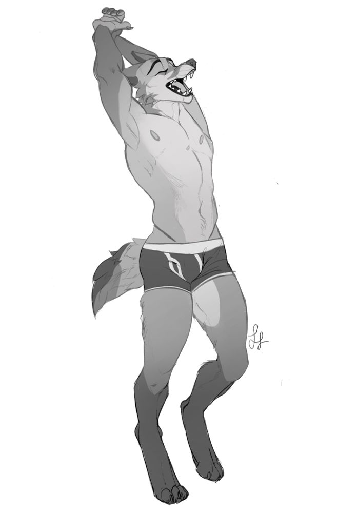 anthro coyote in underwear stretching back and arms and yawning 