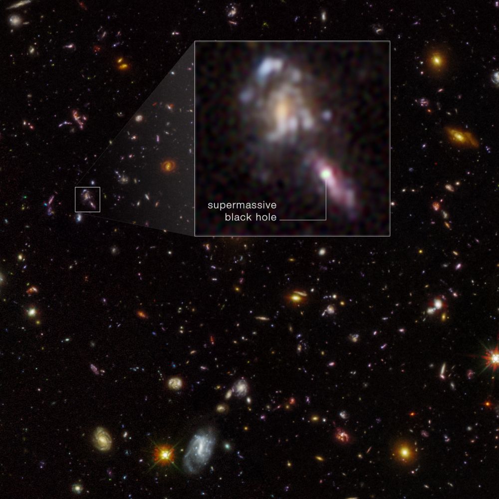 NASA's Hubble Finds More Black Holes than Expected in the Early Universe