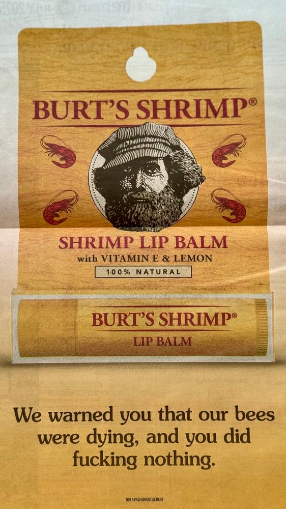 A parody product label styled like Burt’s Bees branding, but altered to read “BURT’S SHRIMP®.” The packaging features a bearded man in a hat, with shrimp illustrations replacing the usual bee motifs. The product is labeled “SHRIMP LIP BALM with VITAMIN E & LEMON – 100% NATURAL.” Below, there’s a mockup of the lip balm tube itself, also labeled “BURT’S SHRIMP® LIP BALM.” At the bottom of the image, bold text reads: “We warned you that our bees were dying, and you did fucking nothing.” In small print underneath: “NOT A PAID ADVERTISEMENT.”