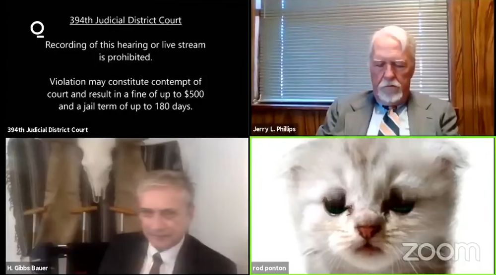 Zoom call for 394th Judicial District Court in which one of the parties appears as a cat due to a video filter.