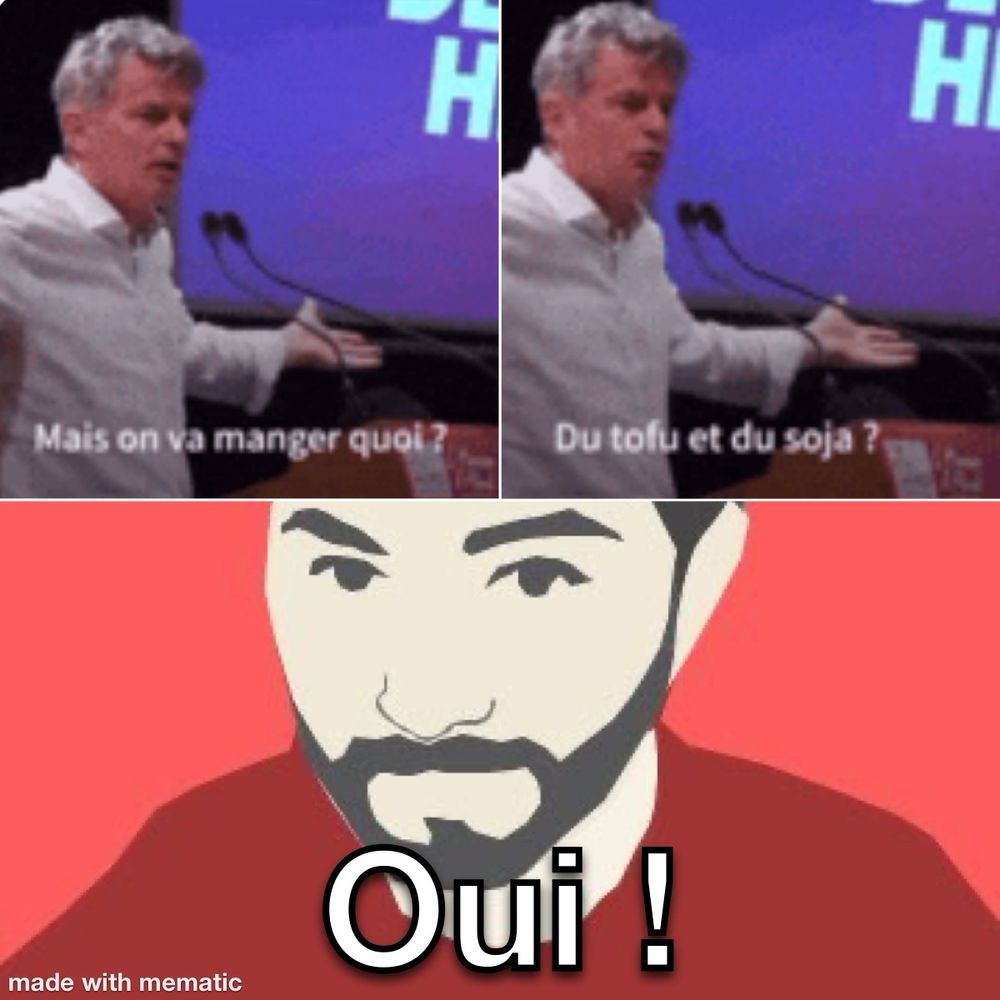 Même roussel : case en haut à gauche : et on va manger quoi ? Case en haut à droite : du tofu et du soja ? Case en bas : ma pp avec un gros « oui ! »