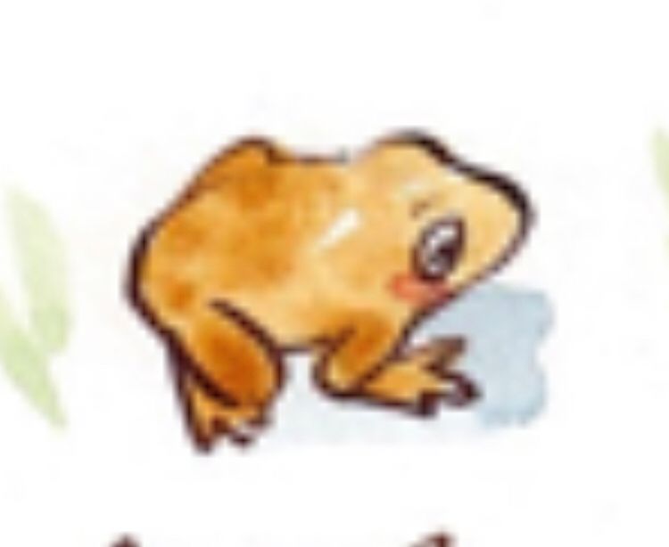 An orange frog that looks slightly overwhelmed and distressed