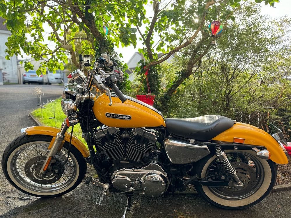 Harley Davidson 1200 sportster. 