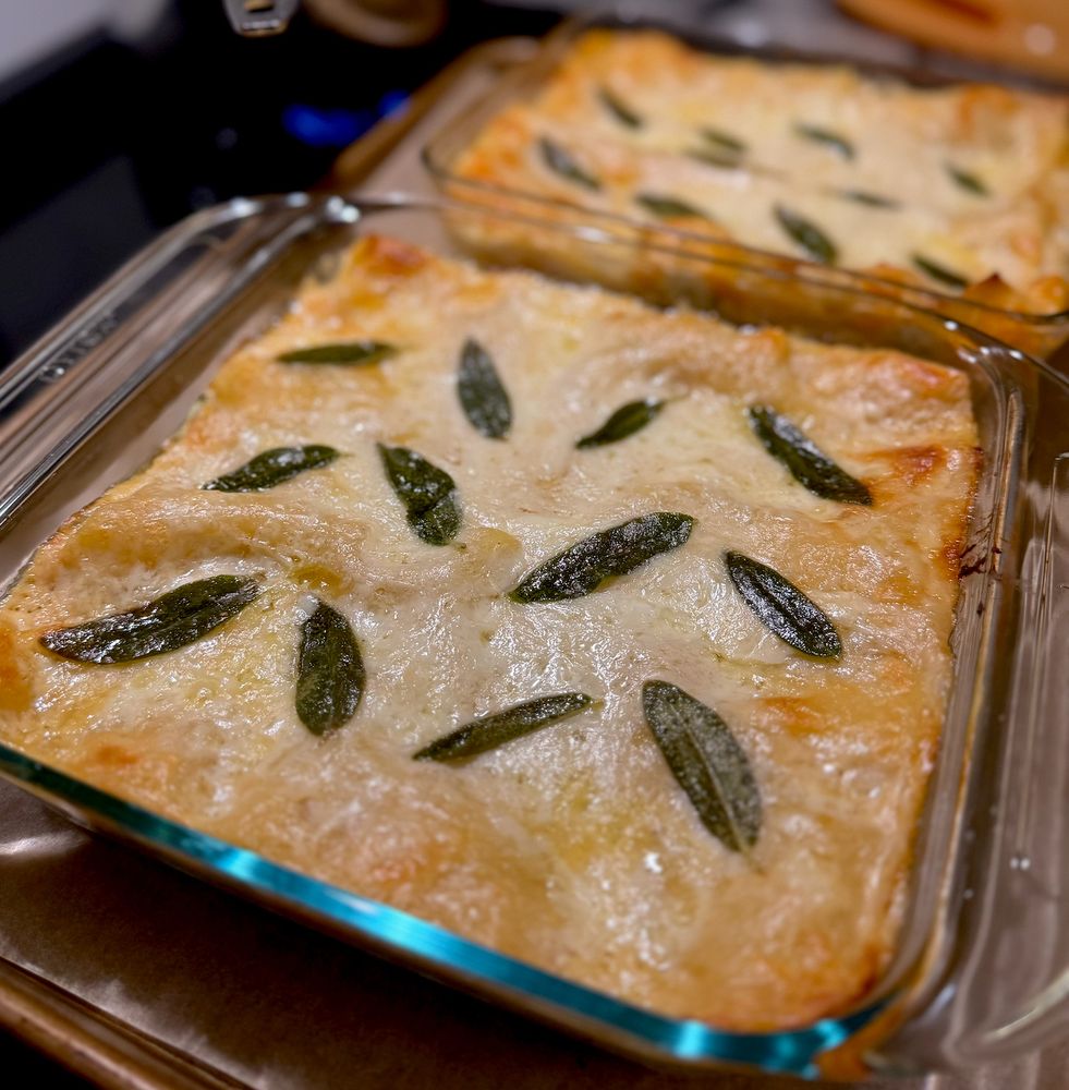 two smallish-pans of butternut squash, sage, fontina lasagna, resting on the stove. with sage leaves fried in brown butter decorating the top (because it's early in the cooking marathon and I still have enthusiasm)