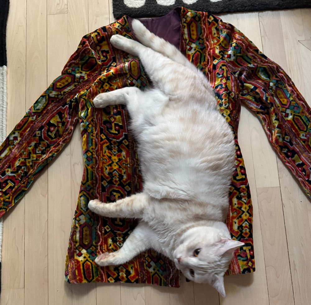 cream tabby cat lying on a circa 1970's Loomtog multi-colored velvet jacket. I assume she's enjoying the smells (jacket was washed just after photos taken). and yeah, the cat is larger than average (her mum is smaller than average).