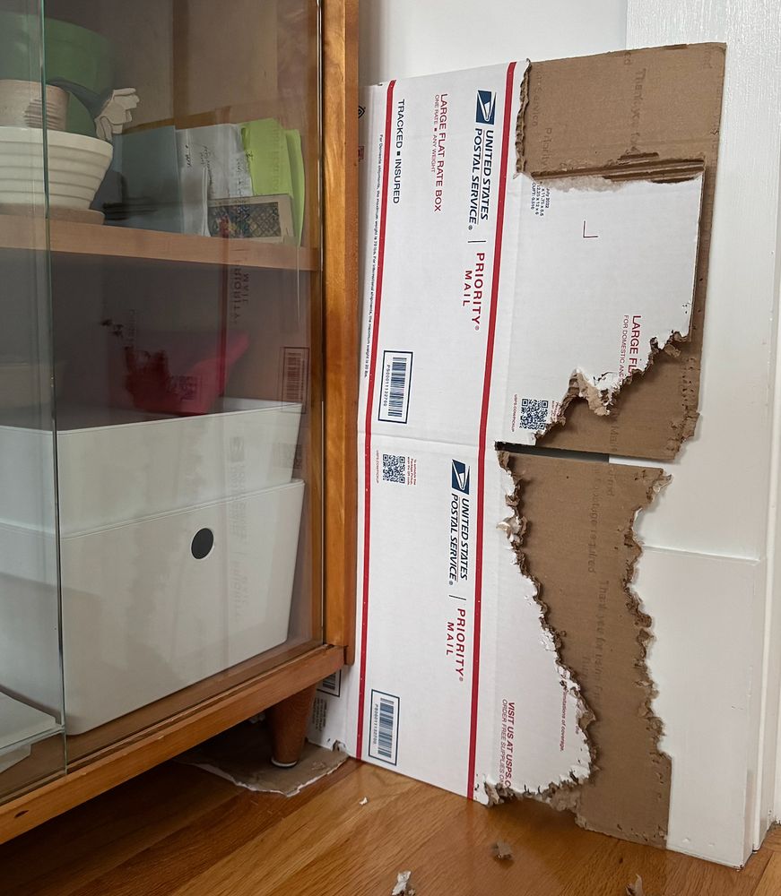photo of a folded USPS priority mail box, formerly stored between a cabinet and the wall, that has been dragged out and chewed on (from 2-4am)-- for some reason the cat did this, it's like living with a gerbil