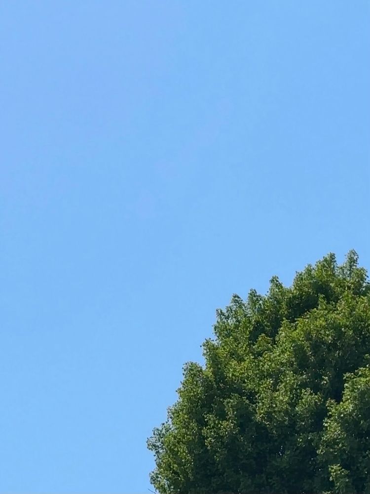 夏が近づいてきておる…