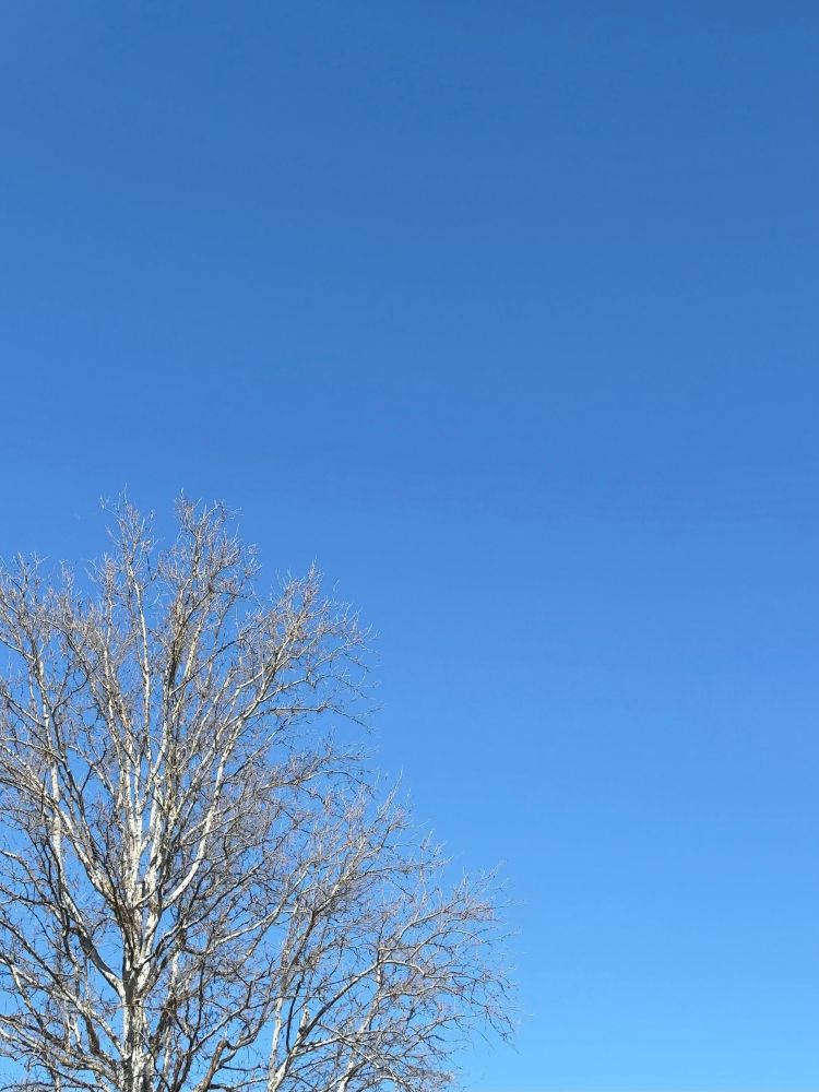 いつもの場所の青空。