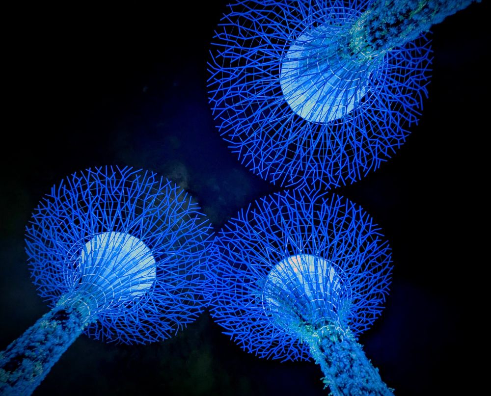 The Silver Garden lit up in blue 