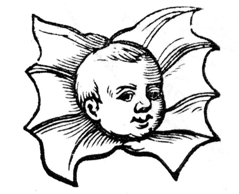 woodcut illustration of baby head coming, somehow distressingly, out of flower petals 