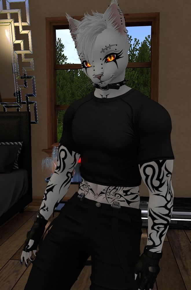 showing off the updated feline form.