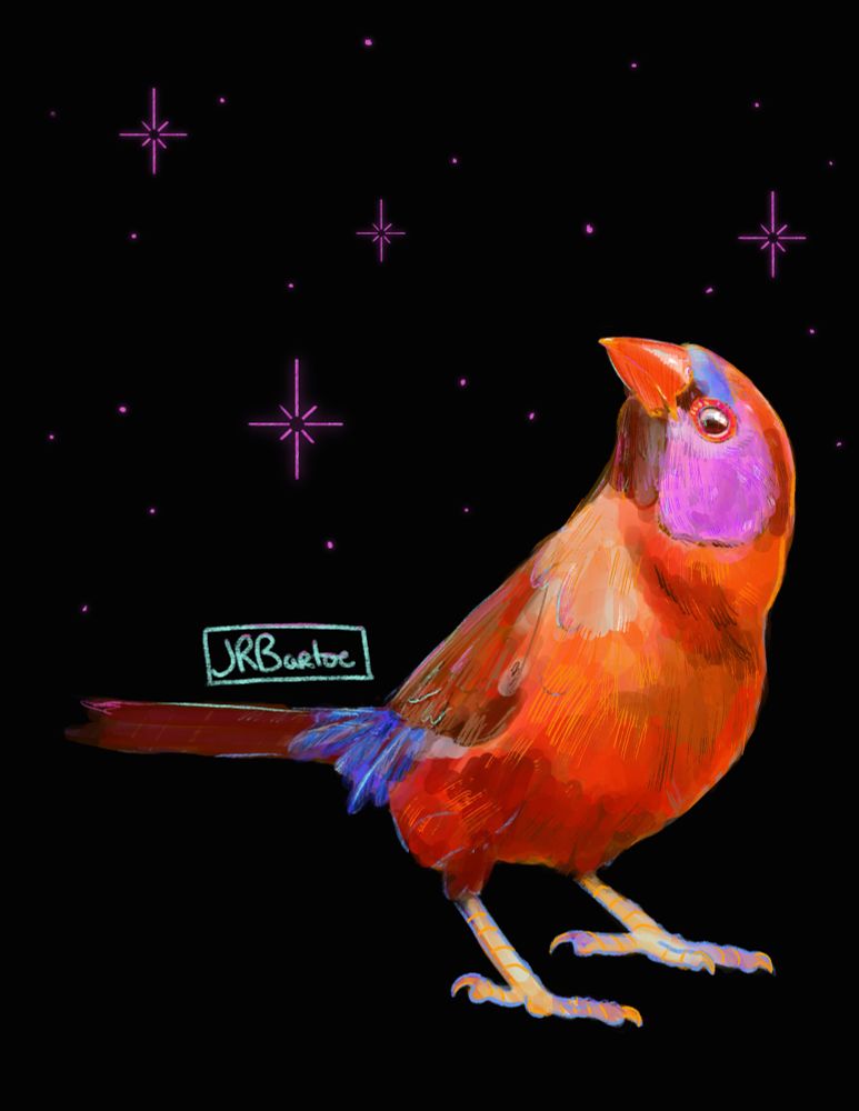 An image of the entire digital painting of a violet-eared waxwing bird. The bird is in deep chestnut tones with a mauve earpatch and blue brow. The bird is on a black background with pink star shapes creating a star field behind it. The bird stands with head lifted up and hips squared to the right, in a dynamic post-hop stance. 