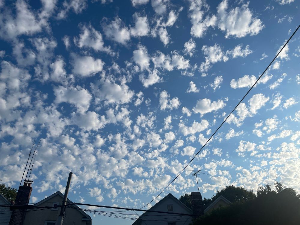 A field of early morning altocumulus clouds stretching over a neighborhood’s rooftops