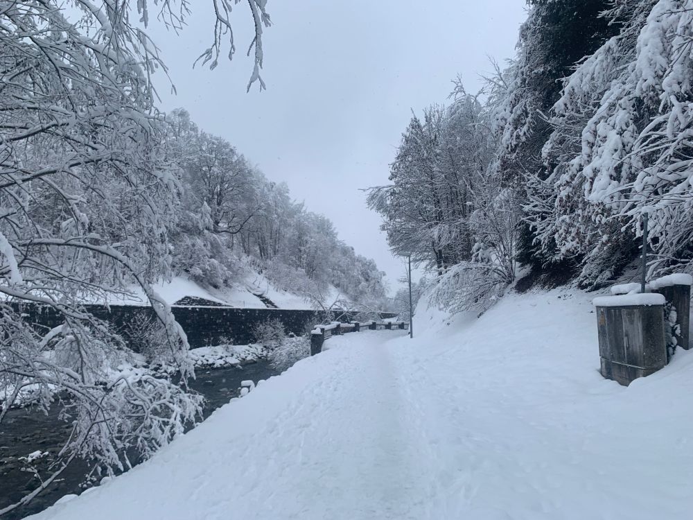 Bild aus dem Winter mit Schnee an einem Bachlauf
