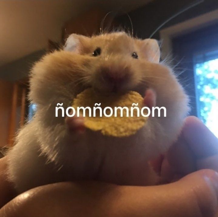 Comment image