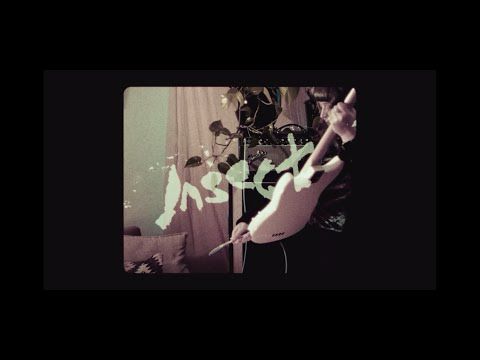 Placement - "Insect" (Official Music Video)"