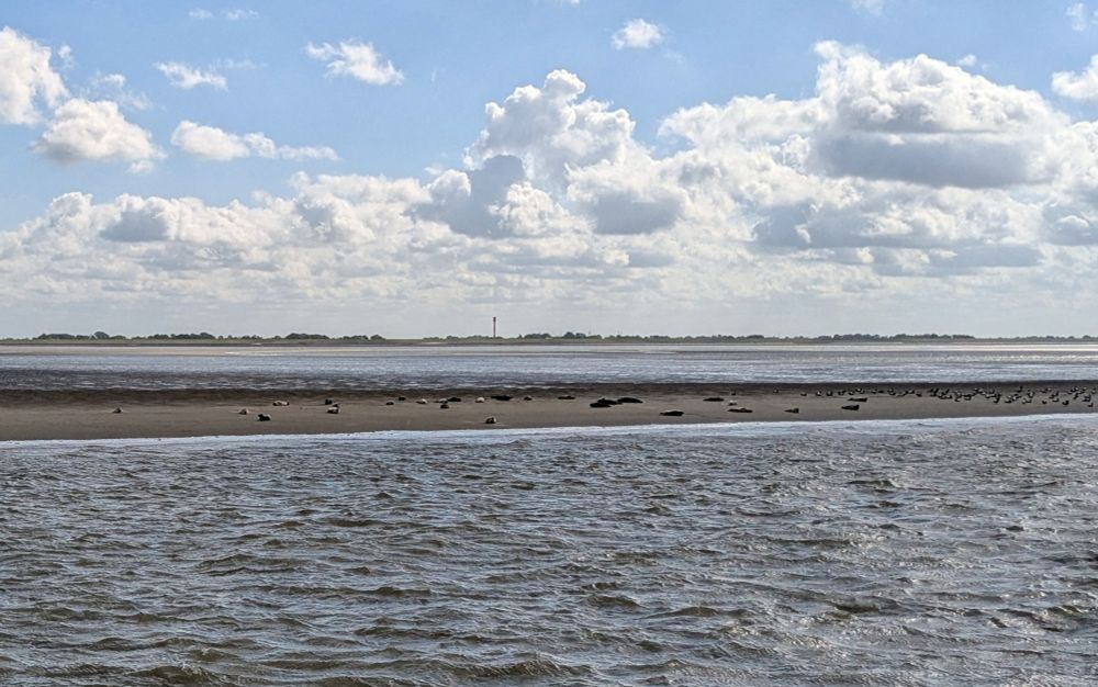 Photo of a sand bank sticking just barely out of the sea, a blue sky dotted with clouds backlit by the sun in the background