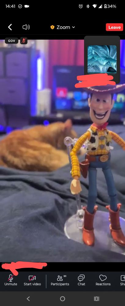 a woody toy making a strange face with a cat