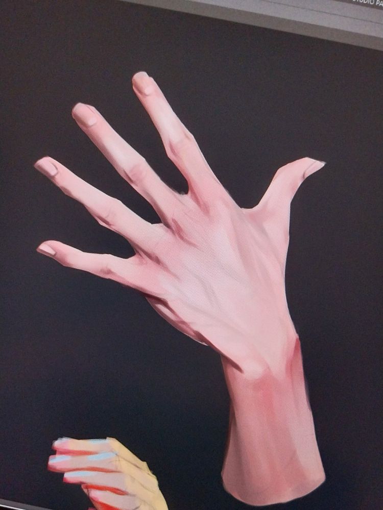 A painting of a male hand, done with the purpose of studying it's anatomy