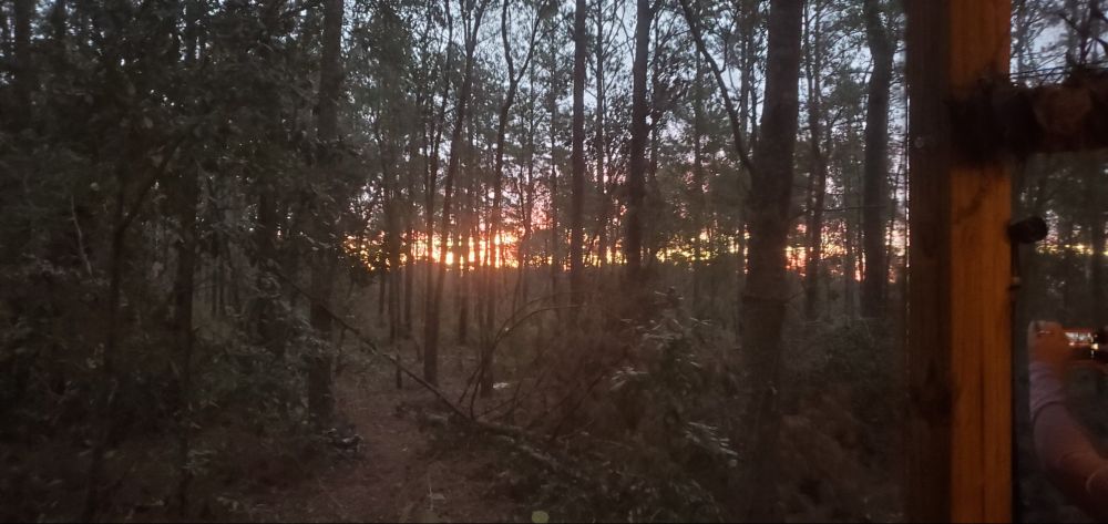 Red sky at 7AM dawn, November 27, 2024.