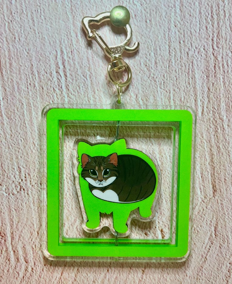Rotating keychain with the oia cat meme