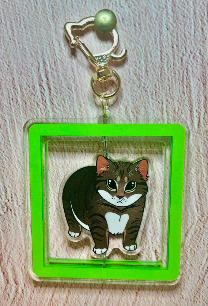 Rotating keychain with the oia cat meme