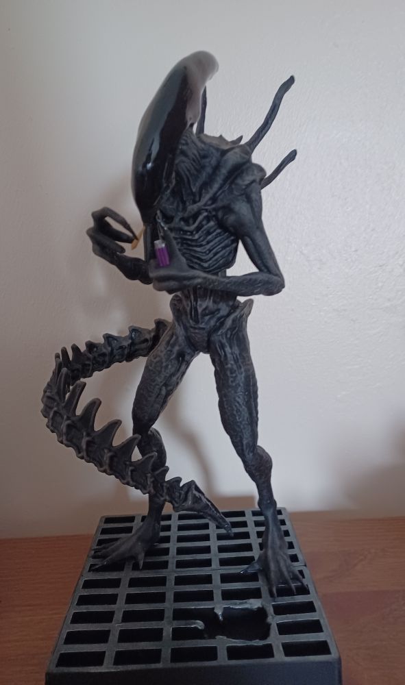 Xeno smokin bud
