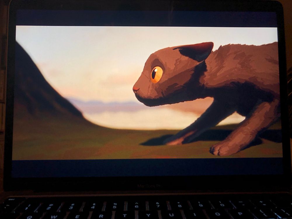 image from the film Flow showing the poor cat anxiously watching the rising waters. 