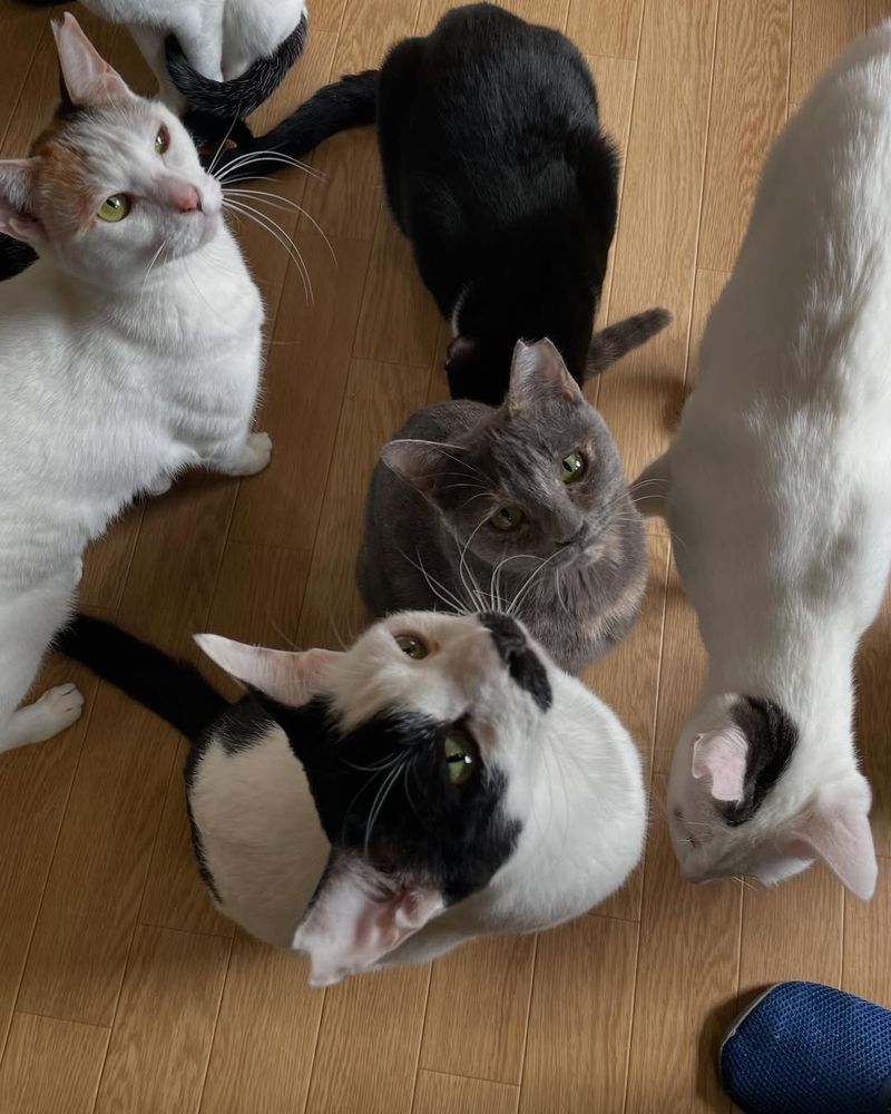These are the little souls waiting for your help kindly they are waiting for you to help them