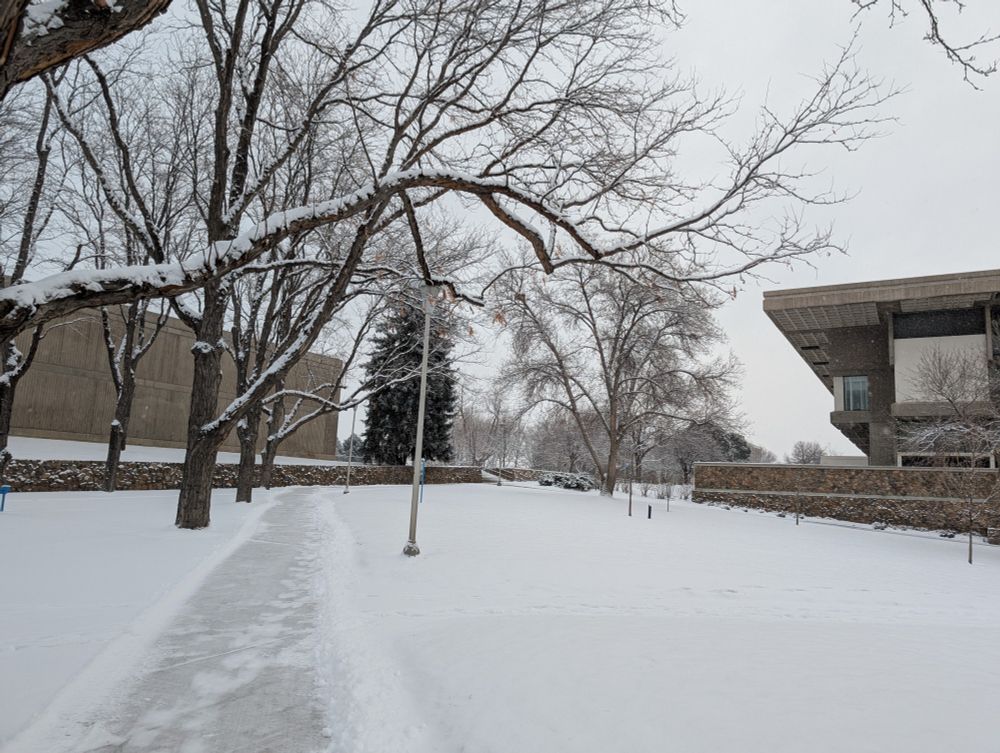 Snow covered paths and trees leading to a large, Brutalist library.  
