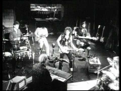 BAP Widderlich 1993