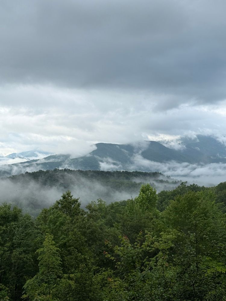 Clouds rolling over the ridges and through the valleys of leafy mountains.