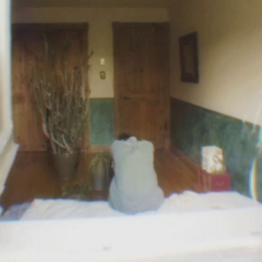 a person sitting on a bed in a room with a plant in the background