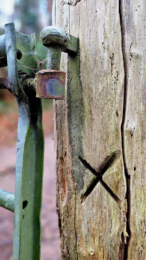 Photograph of a wooden gatepost with a large X carved into it. Attached to the gatepost is an iron hinge spike and part of the metal gate is visible.
