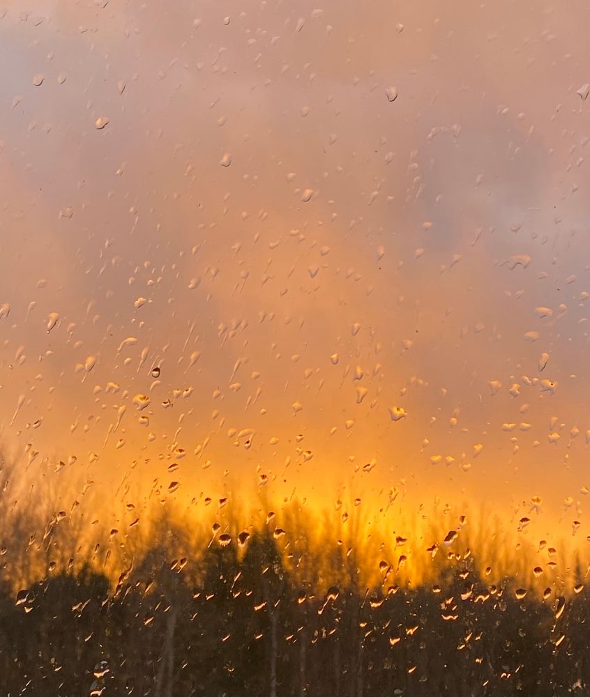Leafless trees in foreground with sun setting behind them so they look like they’re on fire. Raindrops on the glass.