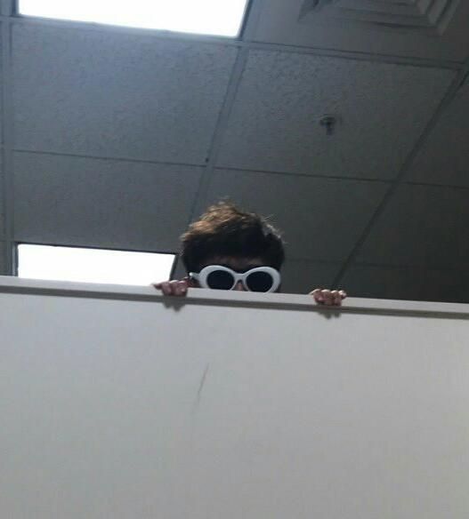 Picture of a person with just their head poking above a wall/partition. They're wearing white sunglasses