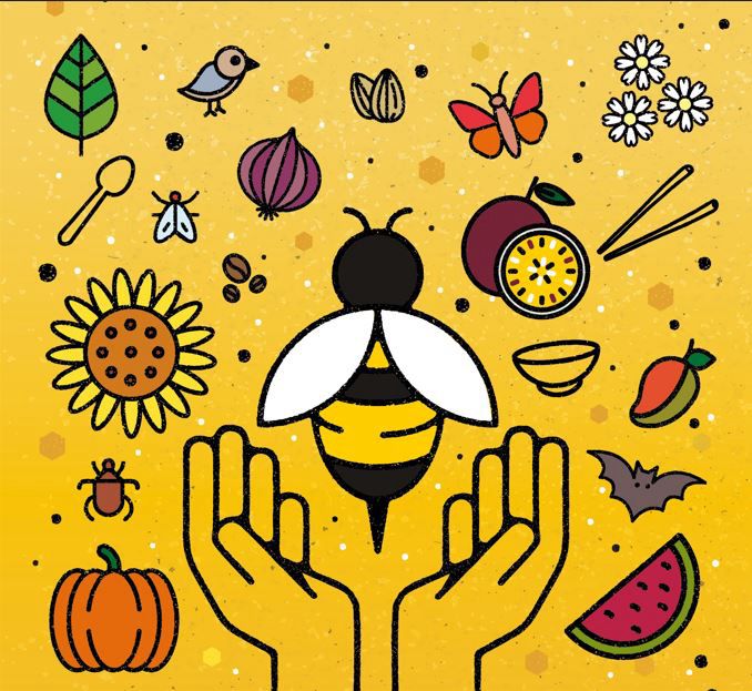 Hands holding open to bee. Foods and flowers surround. Happy energy. 